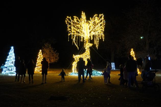People Enjoying Luminance Dec. 8. Photo by Heather Moery