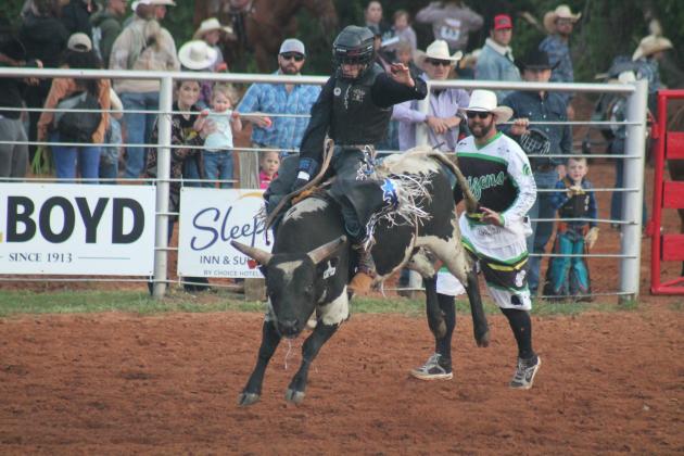 The steer riding competition at the Edmond Junior Rodeo, Friday, April 19. Taken by George McCormick.