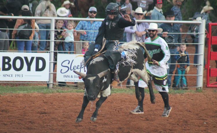 The steer riding competition at the Edmond Junior Rodeo, Friday, April 19. Taken by George McCormick.